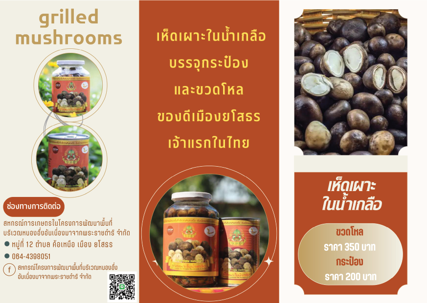 Artboard 2 Copy 13